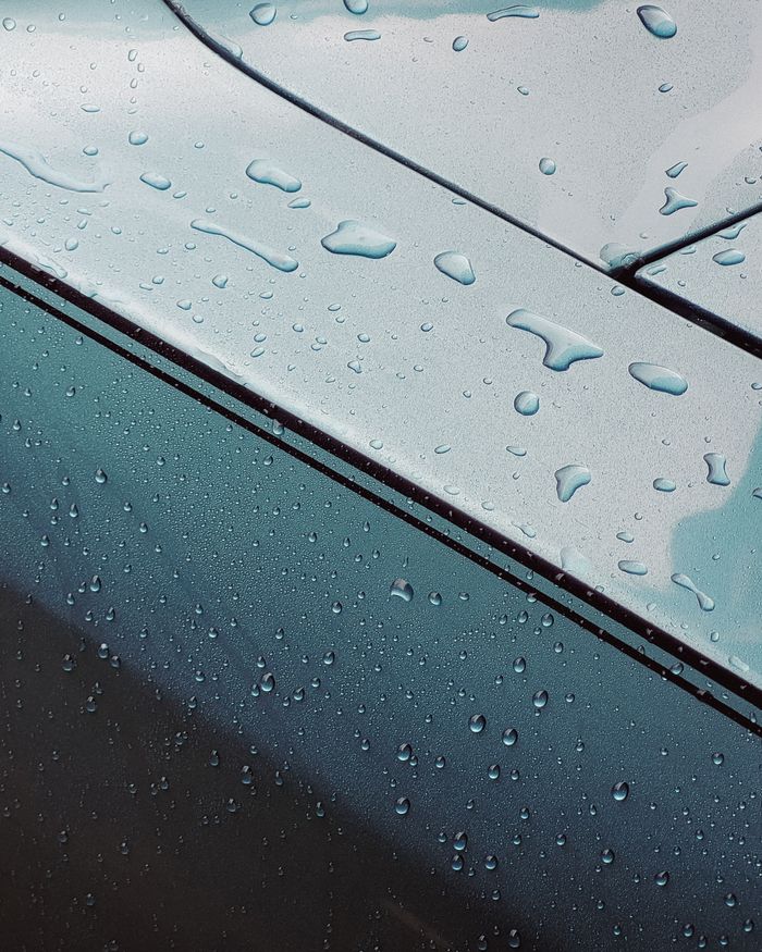 Pexels Photo 32081747